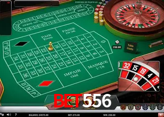 Descubra o Mundo do Cassino Online com Bet556